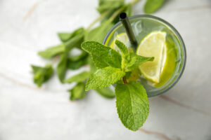 Elevate Your drinks with Dried Cocktail Garnishes: The Ultimate