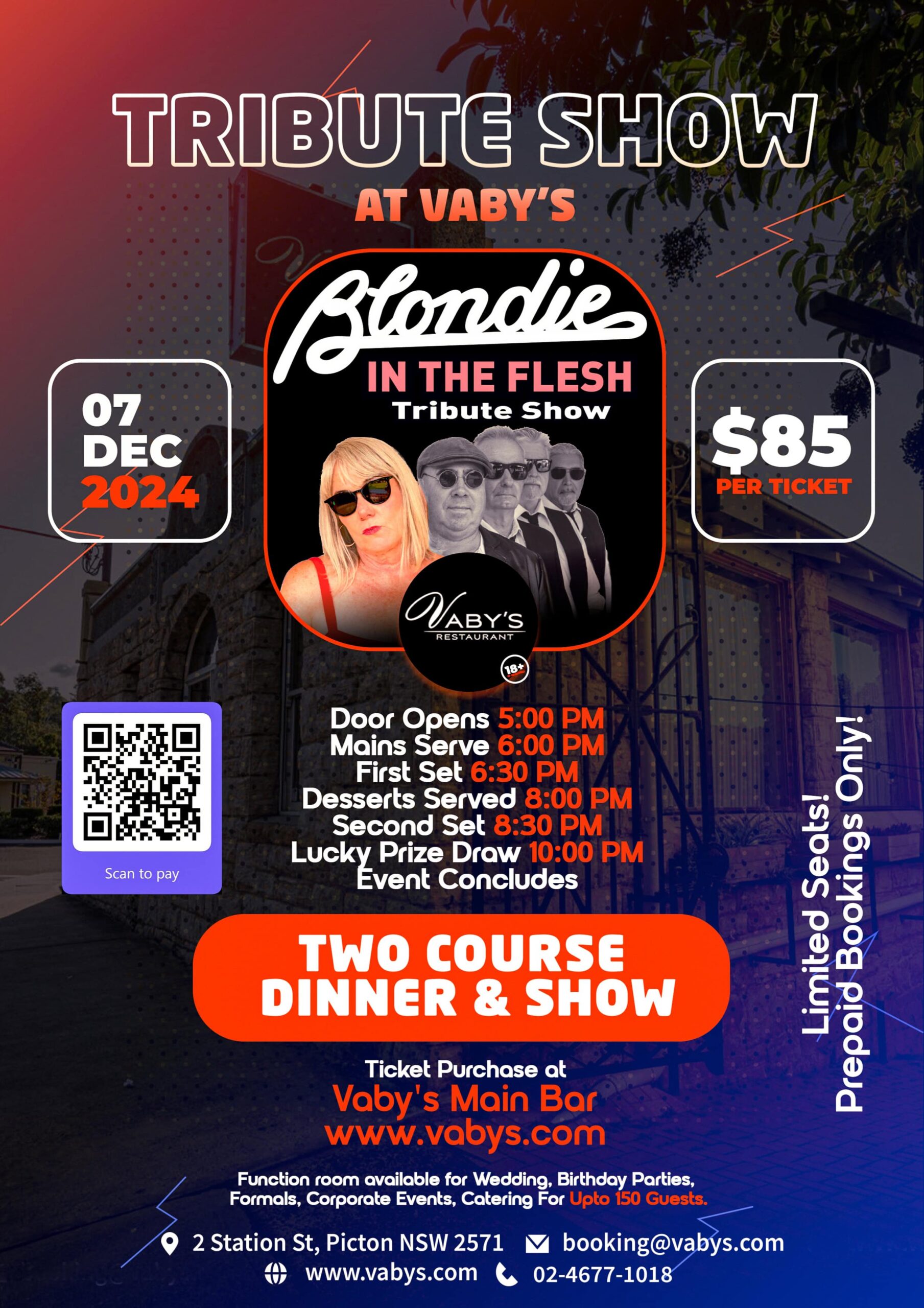 Blondie in the flesh Tribute show